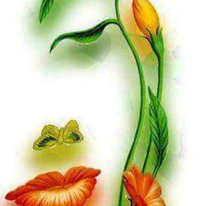 Meet your Posher, June